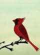 The Cardinal (S)