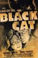 The Case of the Black Cat 
