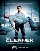 The Cleaner (Serie de TV) - Poster / Imagen Principal