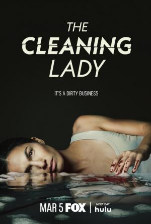 La chica de la limpieza (Serie de TV)