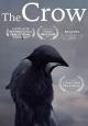 The Crow (C)