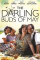 The Darling Buds of May (TV Series)