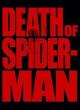 The Death of Spider-Man (C)