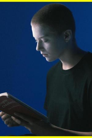 The Feeling Sonnets (Transitional Object) 