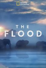 The Flood (TV)