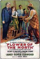 The Flower of the North  - Poster / Imagen Principal
