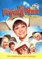 The Flying Nun (TV Series) - Poster / Main Image