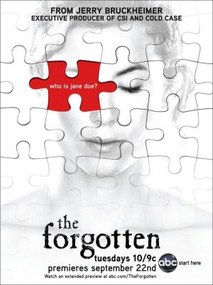 The Forgotten (TV Series)