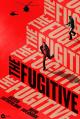 The Fugitive (TV Series)