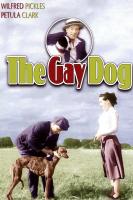 The Gay Dog  - Poster / Imagen Principal