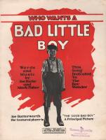 The Good Bad Boy  - Poster / Imagen Principal