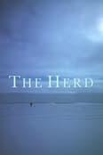 The Herd 