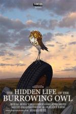 The Hidden Life of the Burrowing Owl (C)