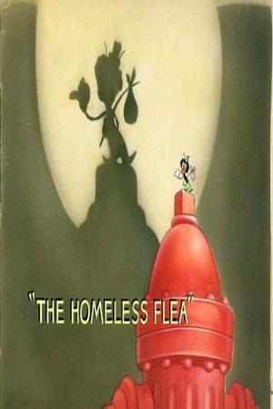 The Homeless Flea (C)