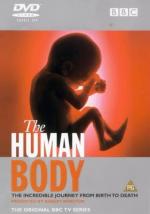 The Human Body (TV Miniseries)