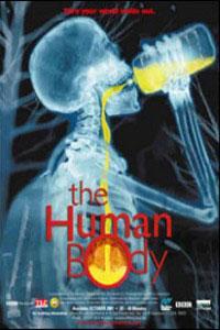 El cuerpo humano 