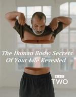 Los secretos del cuerpo humano (Miniserie de TV)