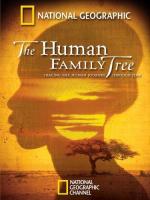 The Human Family Tree (TV) - Poster / Imagen Principal