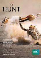 La caza (Miniserie de TV) - Poster / Imagen Principal