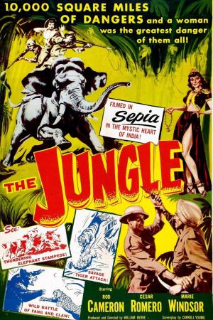 The Jungle 