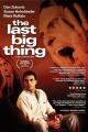 The Last Big Thing 