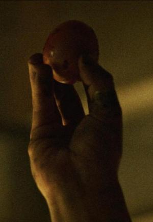 The Last Egg on Earth (C)