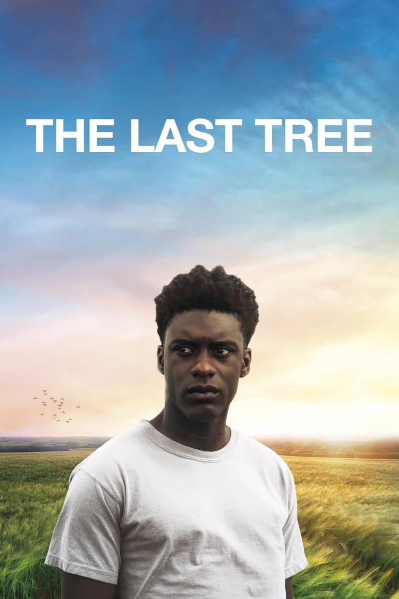 The Last Tree 