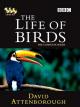The Life of Birds (TV Miniseries)