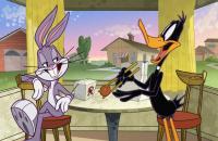 The Looney Tunes Show (TV Series) - Stills