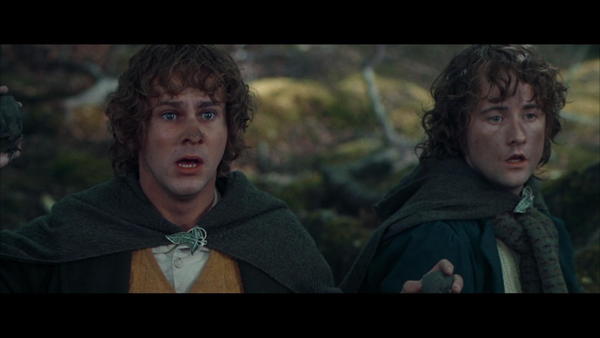 Film - The Lord Of The Rings - The Fellowship Of The Ring - Into Film