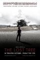 The Lost Tree 