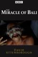 The Miracle of Bali (TV Miniseries)