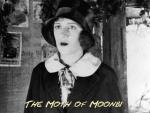 The Moth of Moonbi 