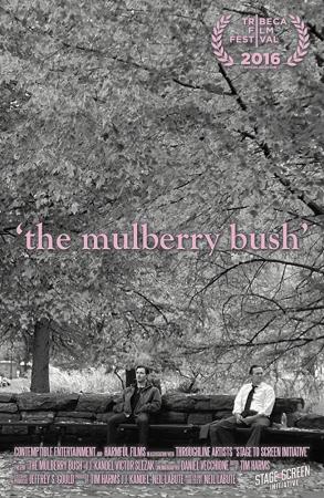 The Mulberry Bush (C)