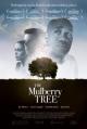 The Mulberry Tree 