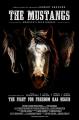 The Mustangs: America's Wild Horses 