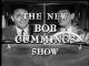 The New Bob Cummings Show (AKA The Bob Cummings Show) (TV Series) (Serie de TV)