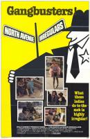 The North Avenue Irregulars  - Poster / Main Image