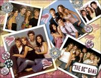 The O.C. - The Orange County (TV Series) - Wallpapers