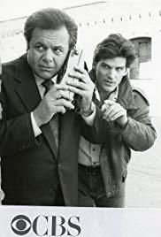 The Oldest Rookie (Serie de TV)