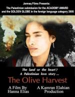 The Olive Harvest 