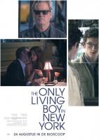 The Only Living Boy in New York  - Posters