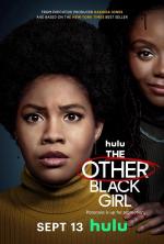 La otra chica negra (Serie de TV)