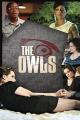The Owls 