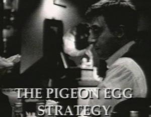 The Pigeon Egg Strategy 