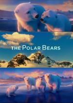 The Polar Bears (S)