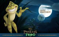 The Princess and the Frog  - Wallpapers
