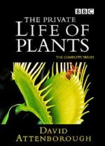 La vida privada de las plantas (Miniserie de TV)