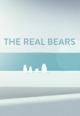The Real Bears (C)