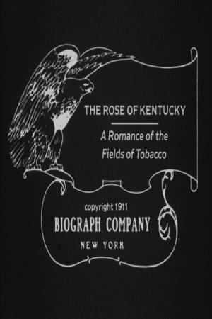 The Rose of Kentucky (S)